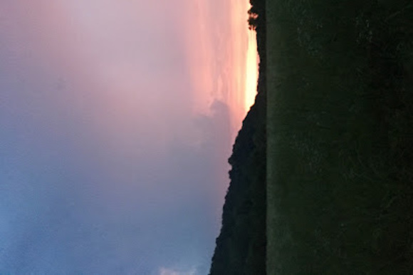 Meet your Posher, Knox - Picture 1 of 1